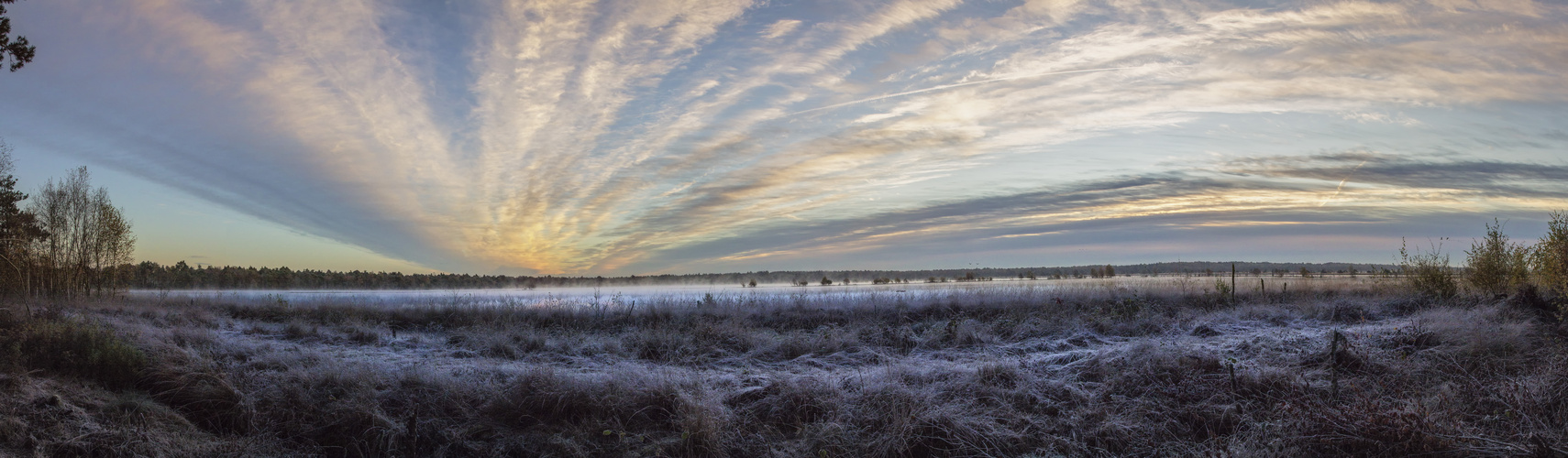 Morgens im Tister Bauernmoor