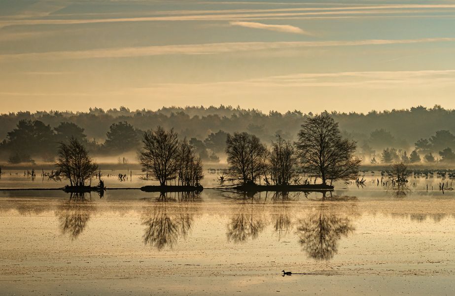 Morgens im Tister Bauernmoor