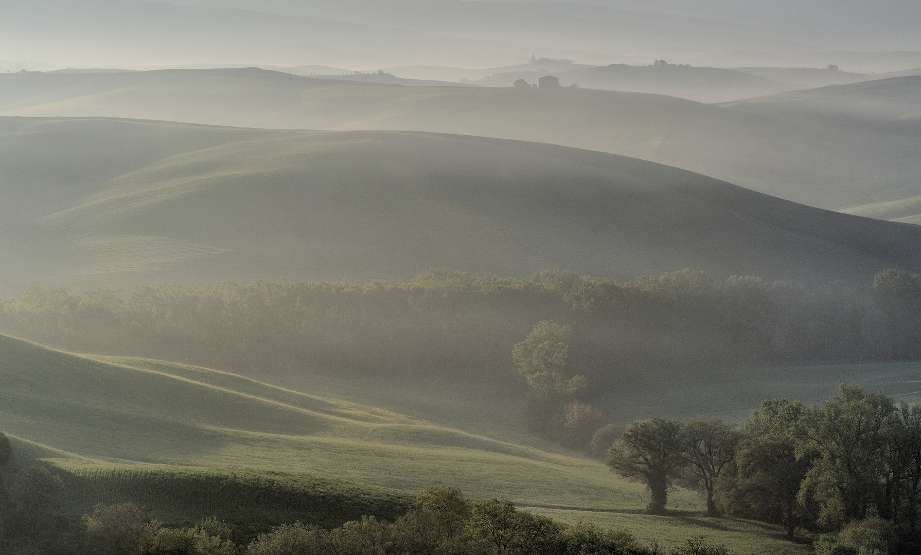 *morgens im Val d´Orcia*