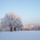 Morgens im verschneiten Wurmtal