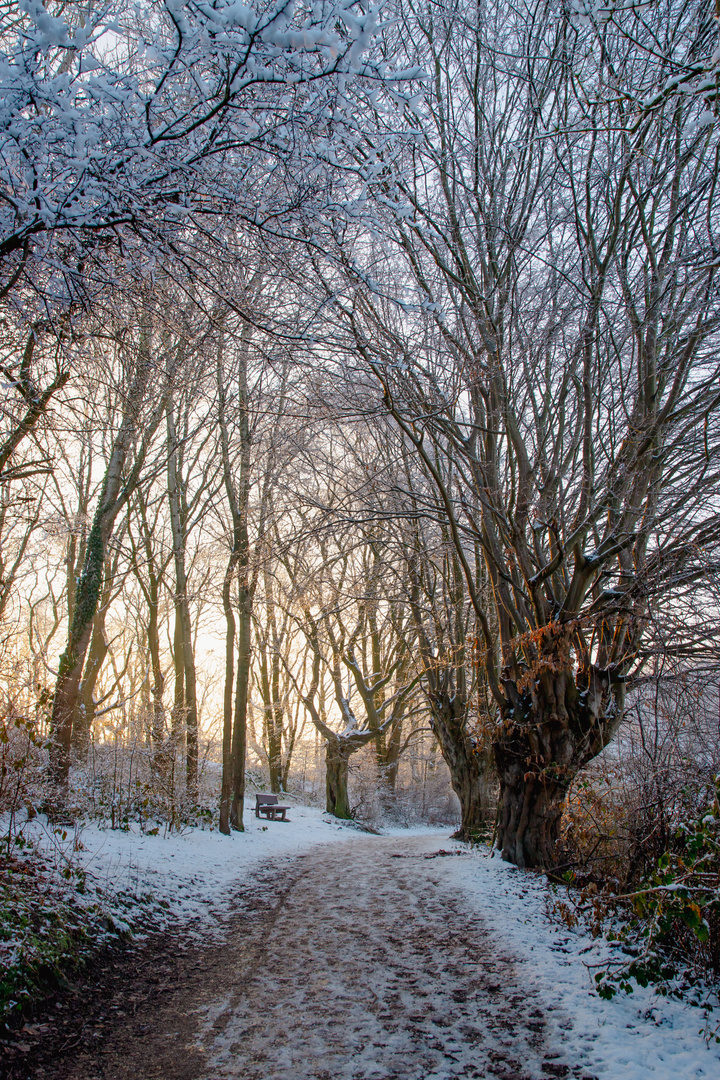 Morgens im verschneiten Wurmtal