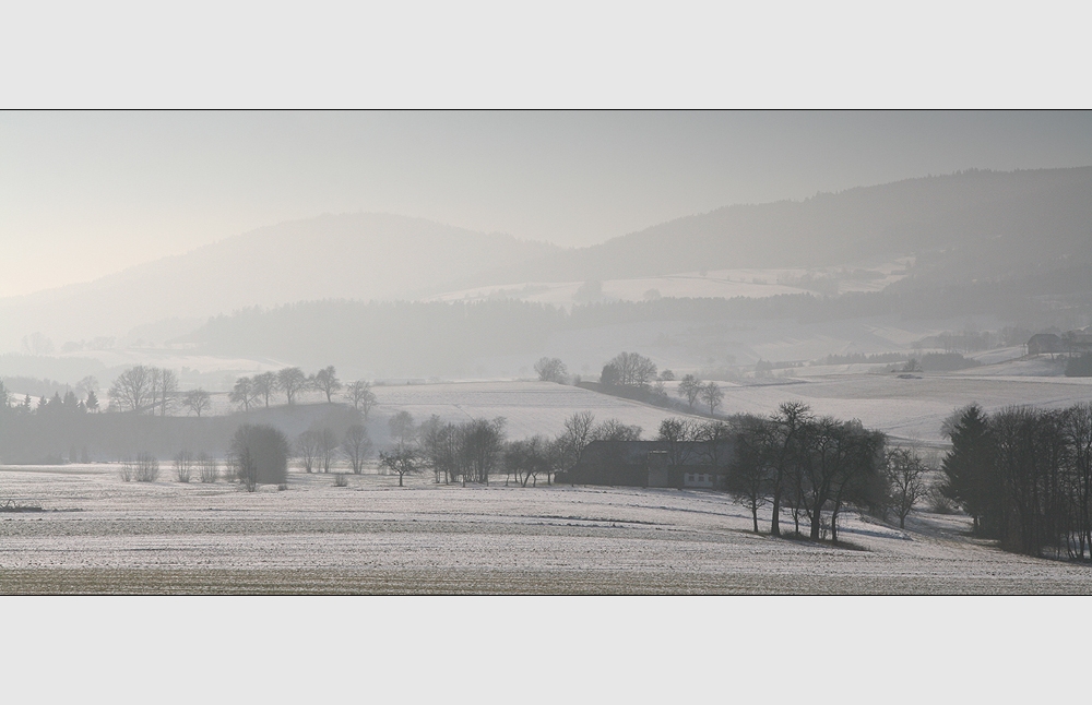 morgens im Waldviertel