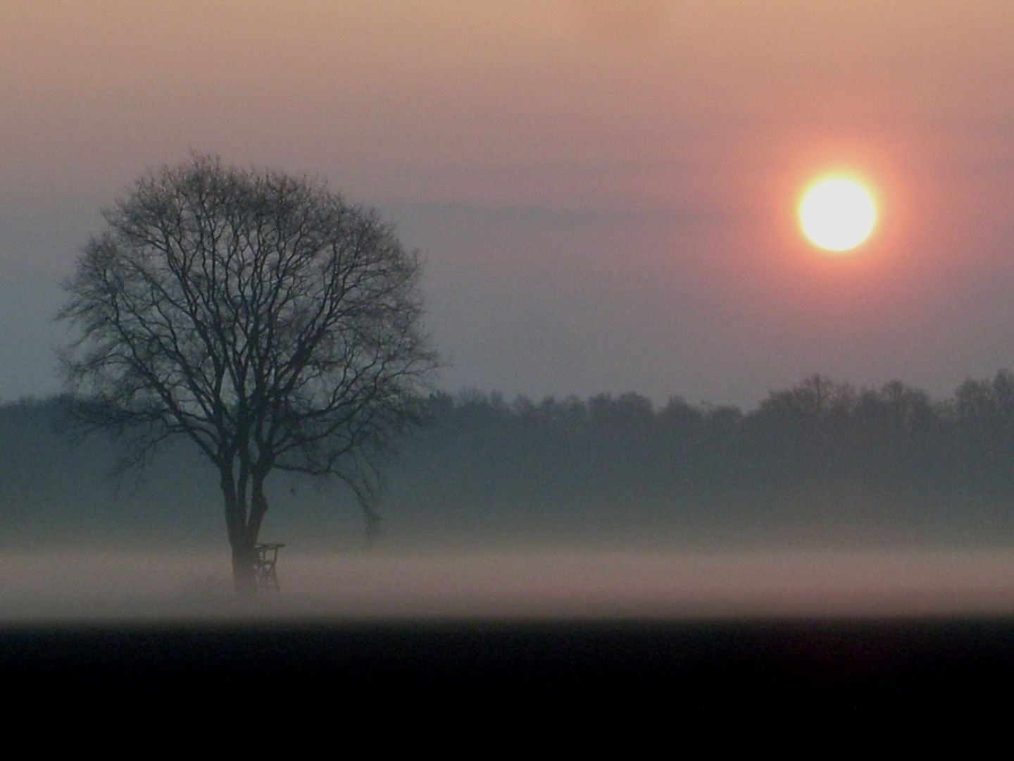 Morgens im Wendland