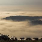 Morgens im Westerwald