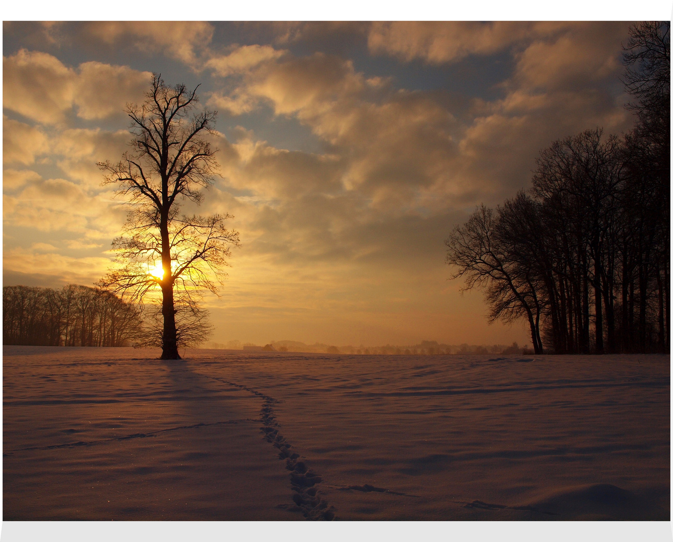 *Morgens im Winter*