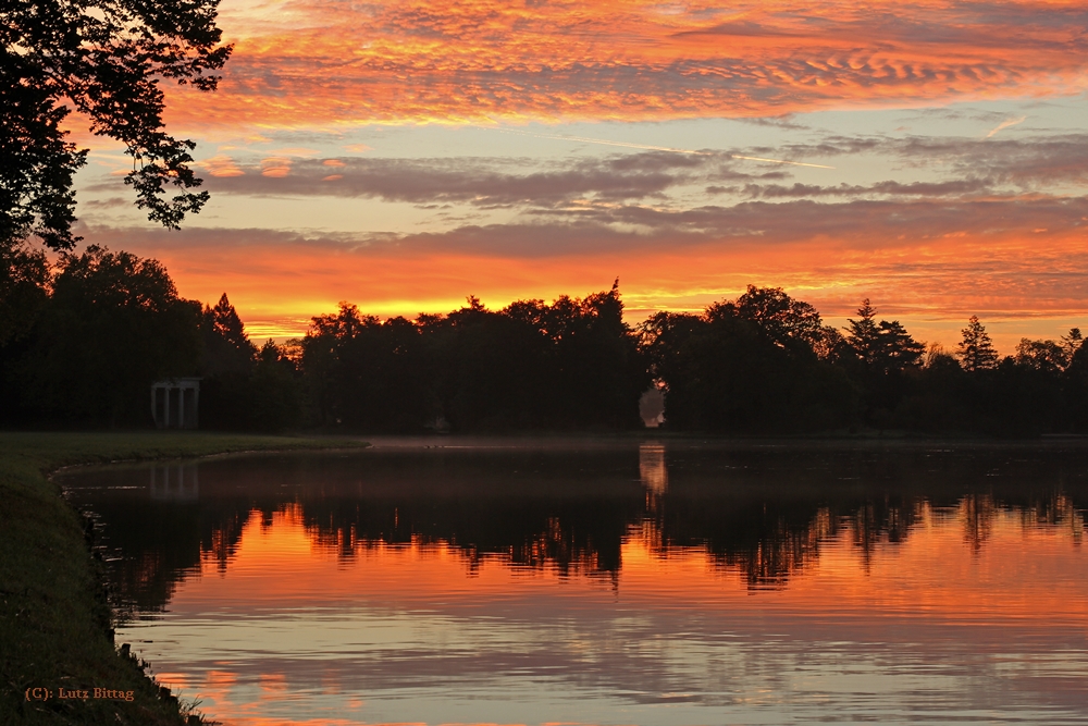 Morgens im Wörlitzer Park