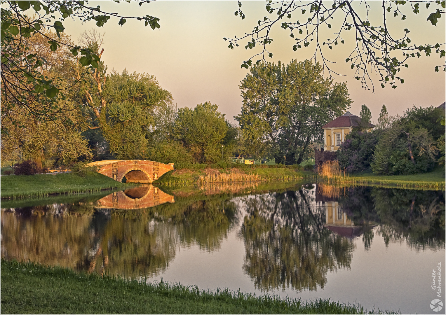 Morgens im Wörlitzer Park