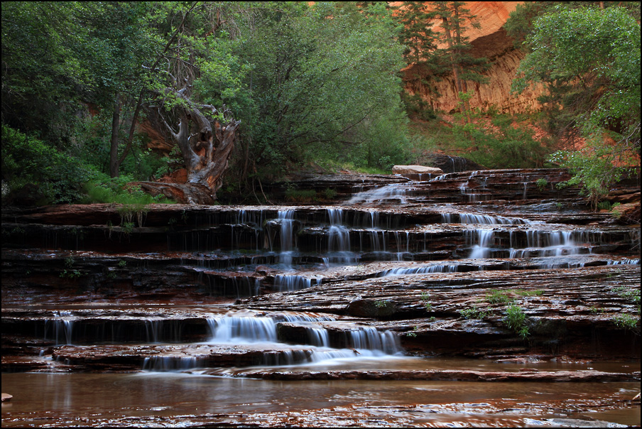 Morgens im Zion NP