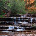 Morgens im Zion NP