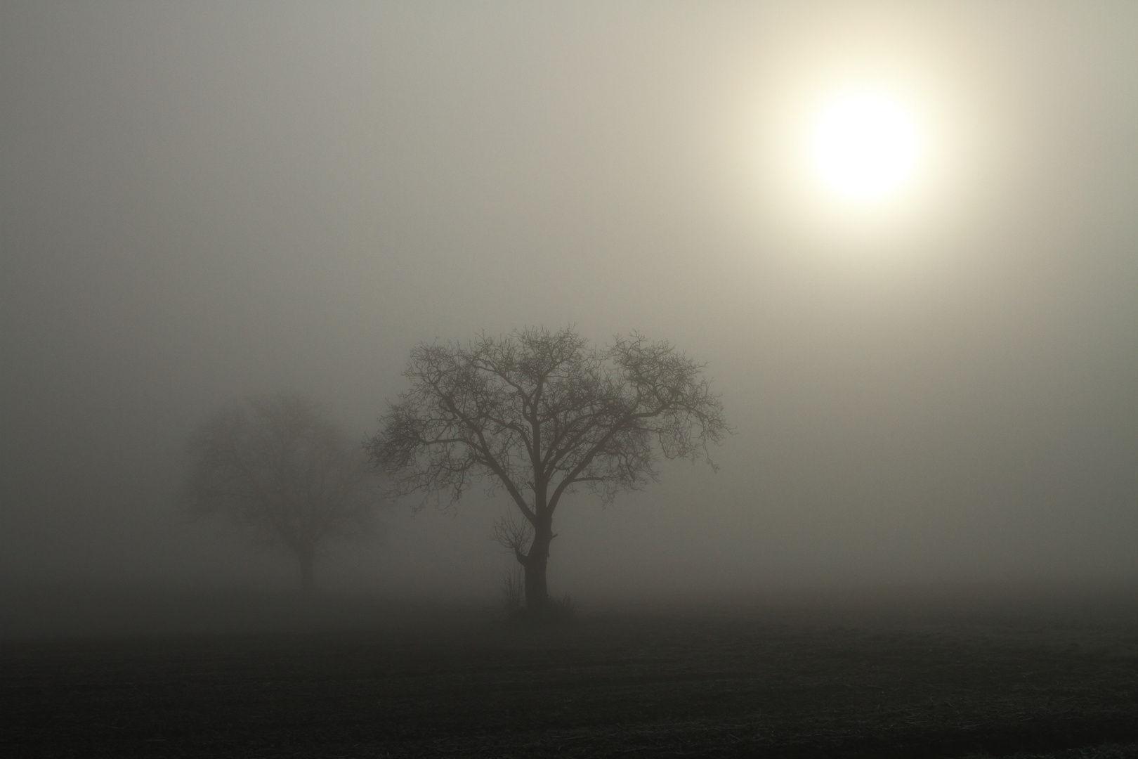 Morgens in Bad Bergzabern