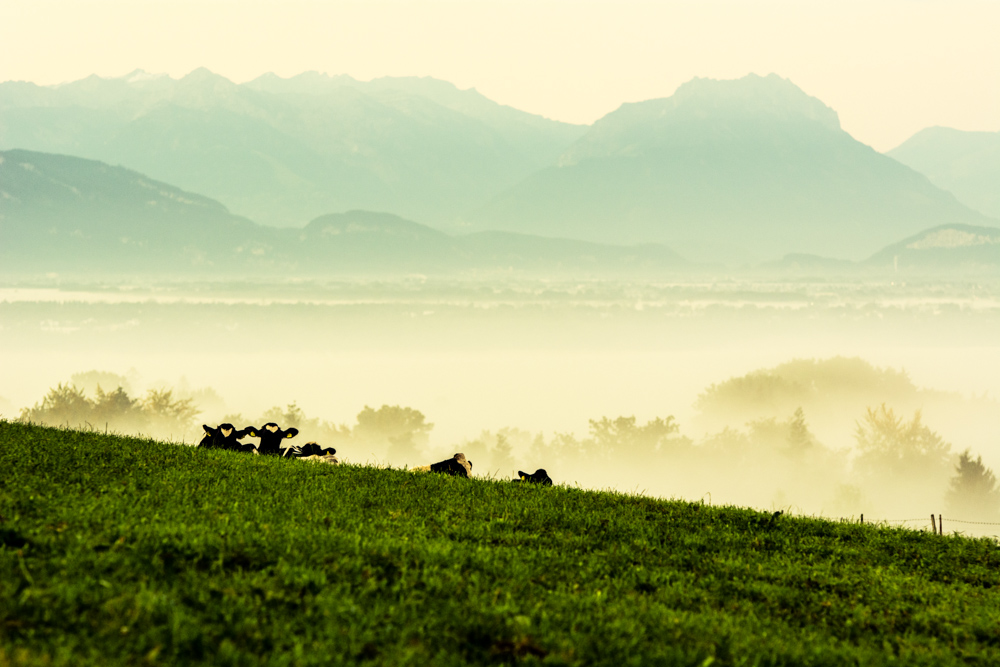 morgens in Bayern