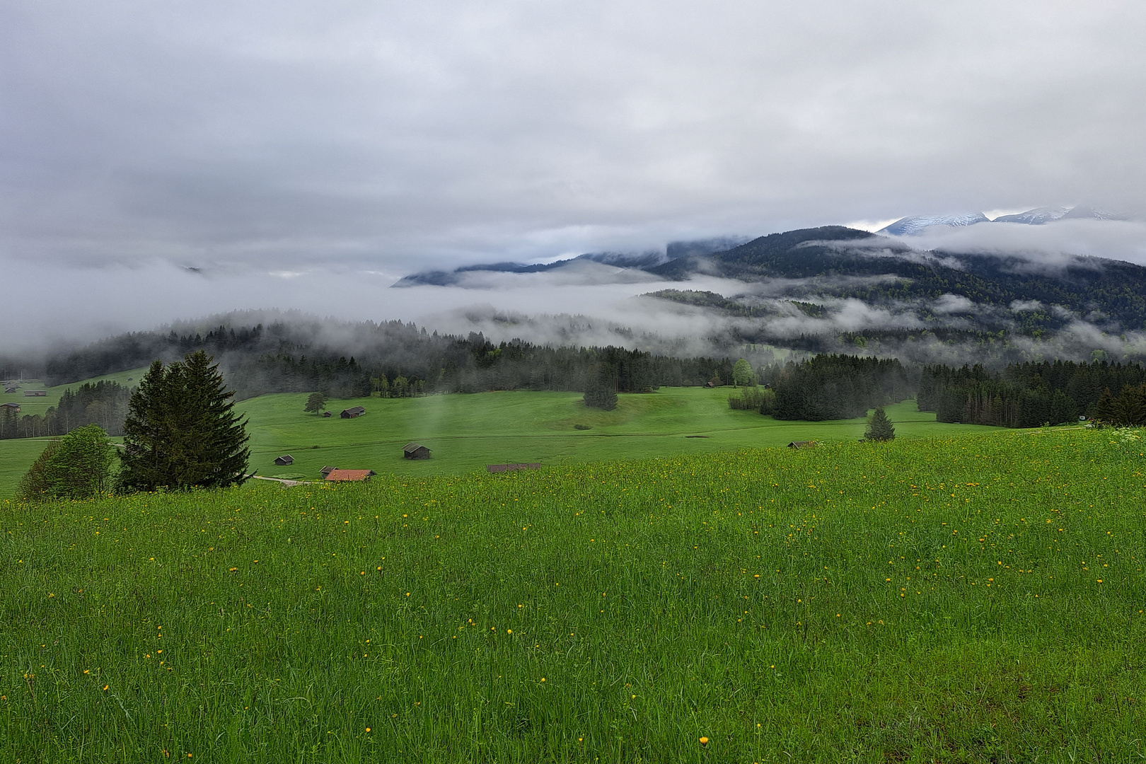 Morgens in Bayern