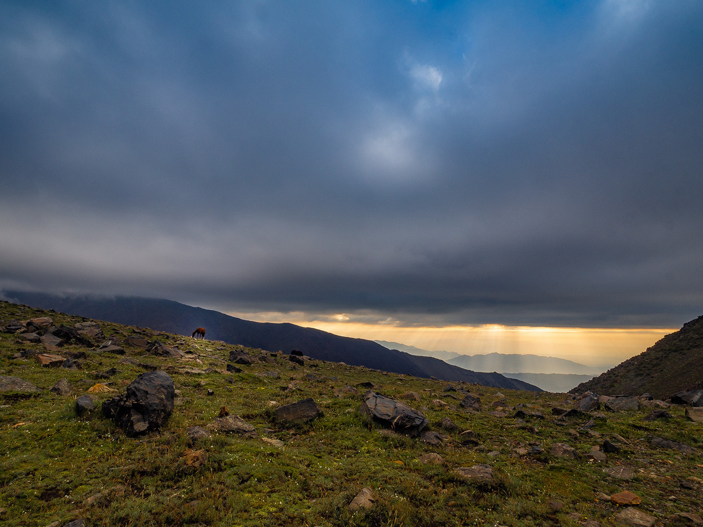 Morgens in den Bergen