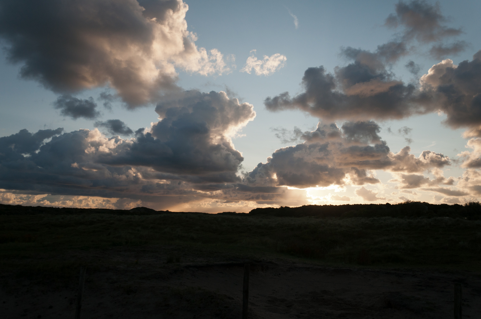 Morgens in den Dünen