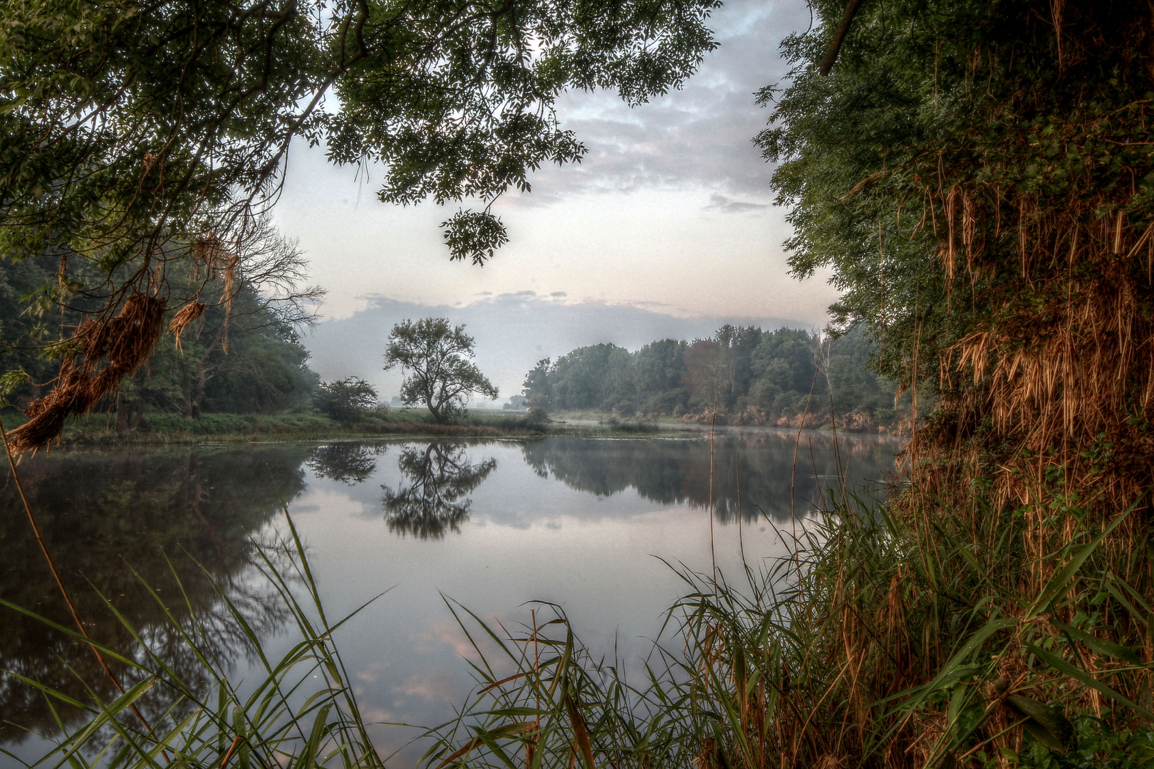 morgens in den Elbauen