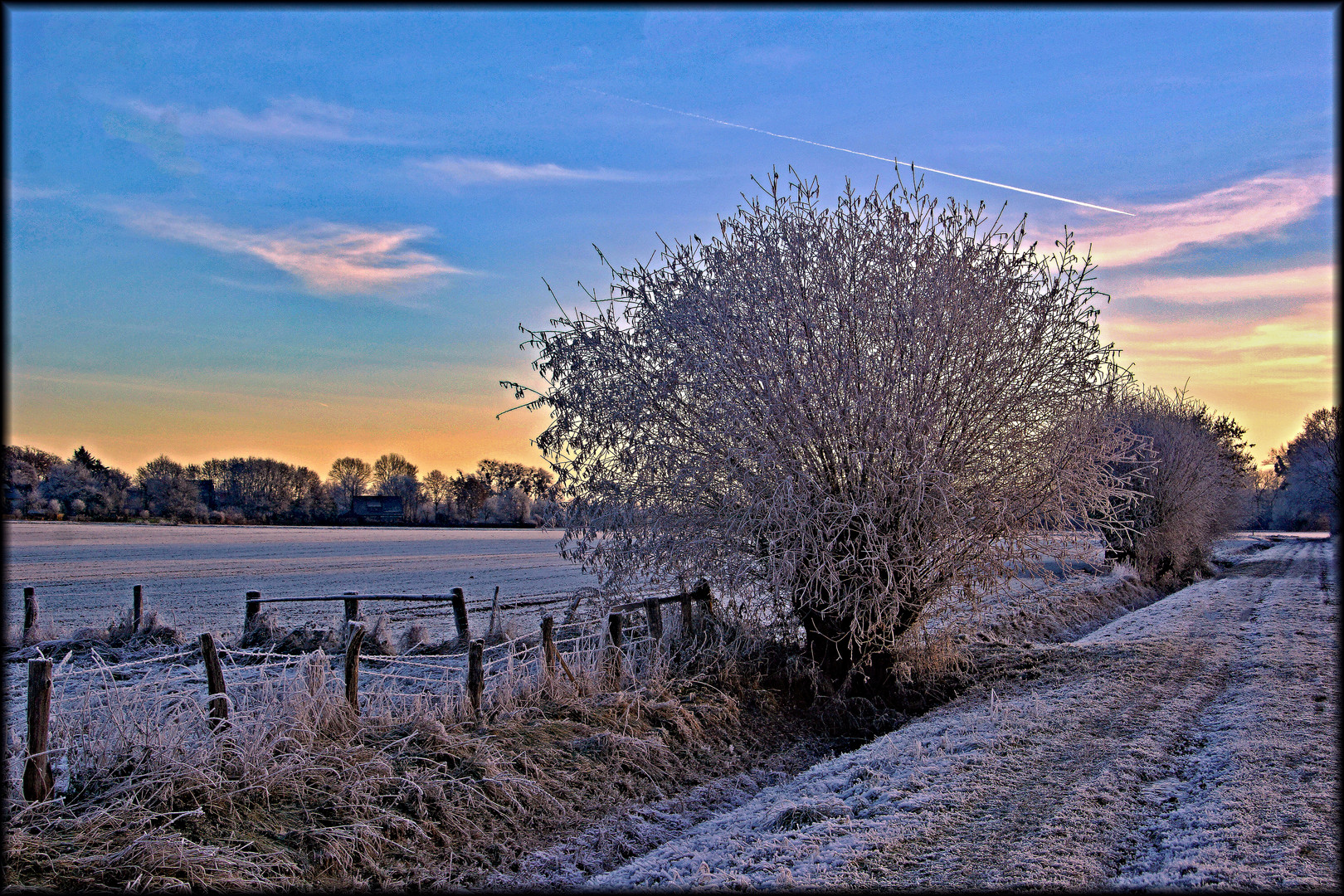 Morgens in den Feldern