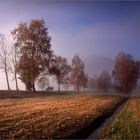 Morgens in den Feldern unterwegs