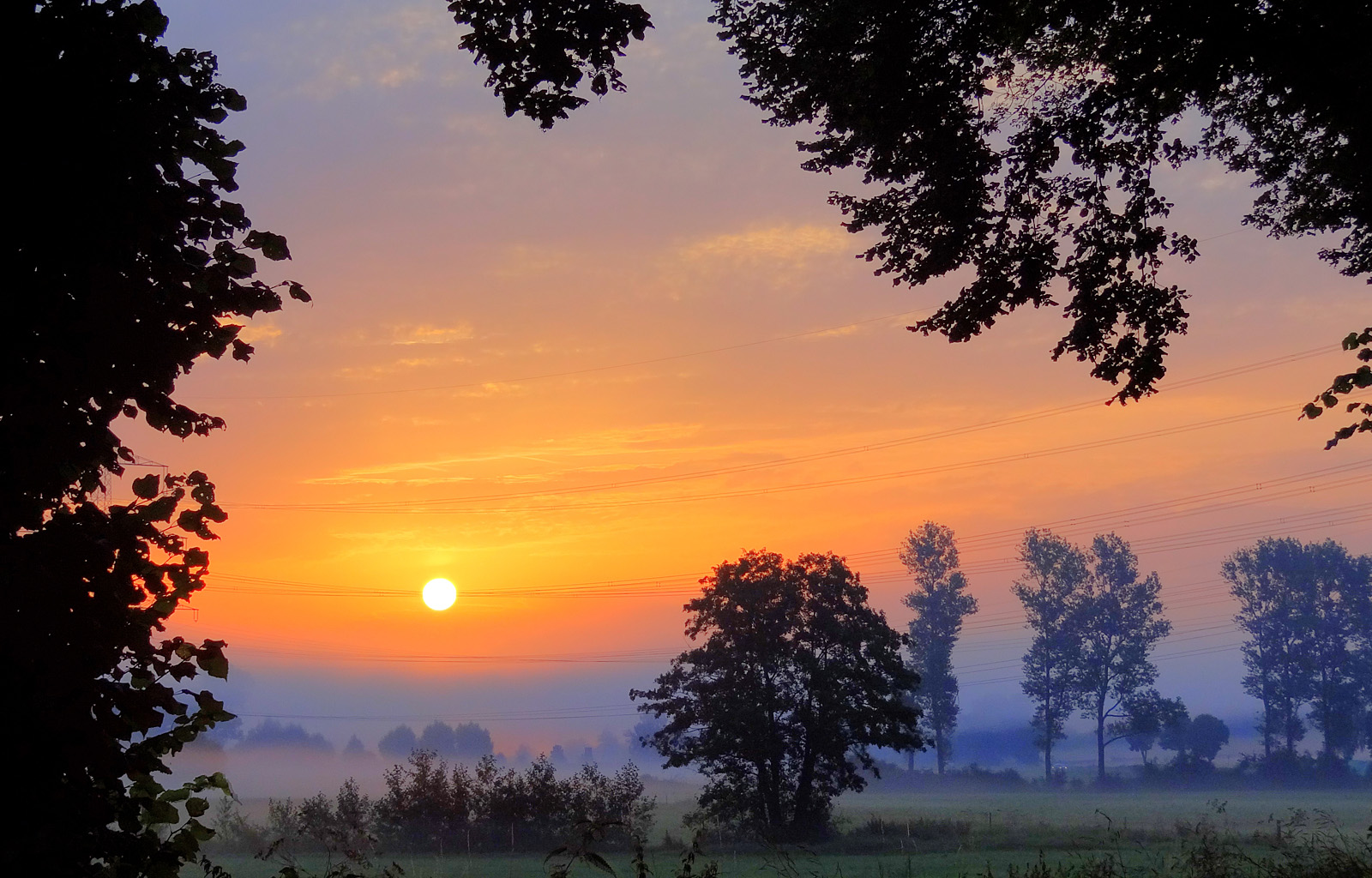 Morgens in den Ohmwiesen