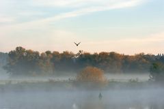 Morgens in den Ruhr Auen