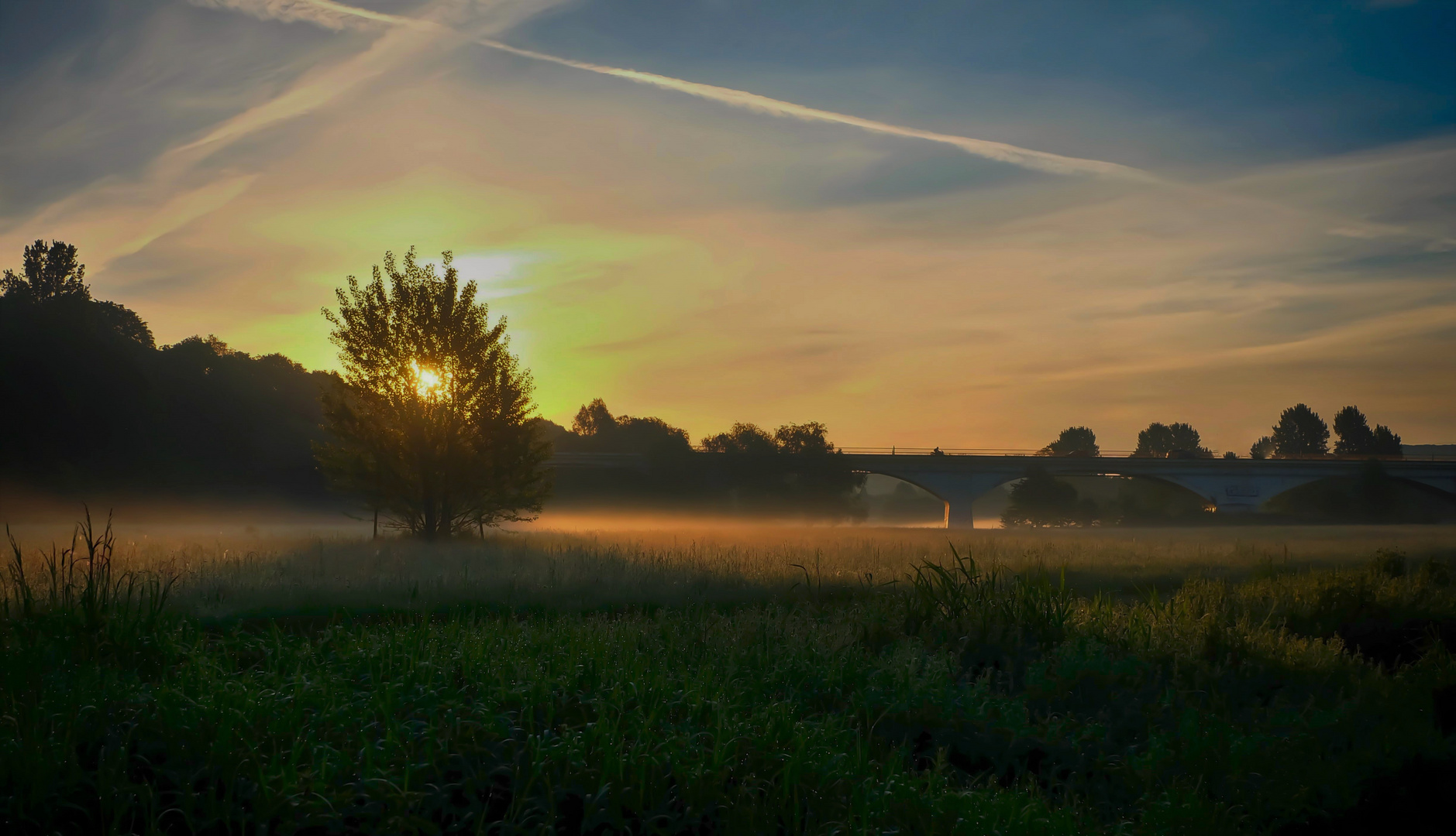 Morgens in den Ruhrwiesen