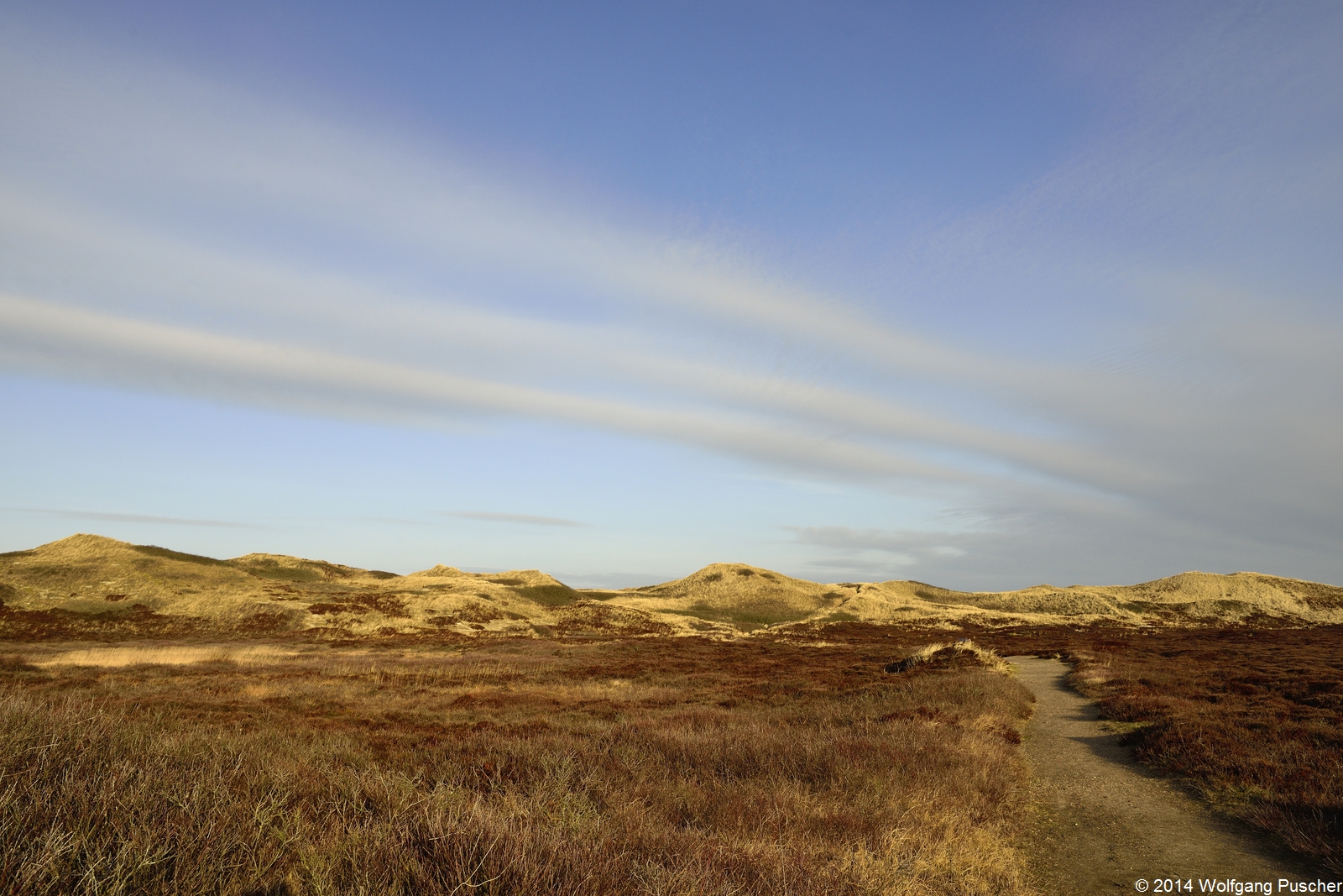 Morgens in den Sylter Dünen...