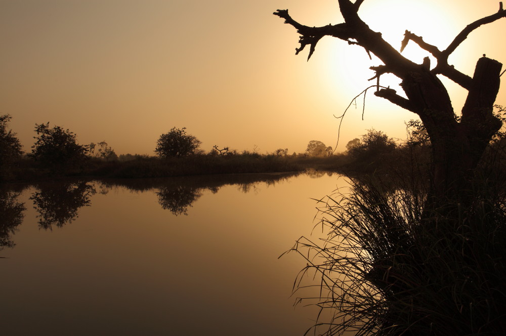 Morgens in der Casamance