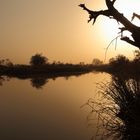 Morgens in der Casamance