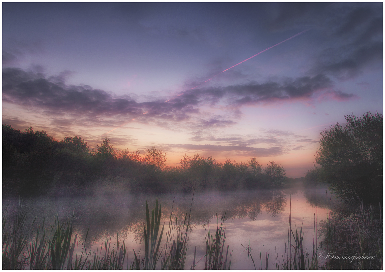 Morgens in der Dingdener Heide