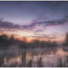 Morgens in der Dingdener Heide