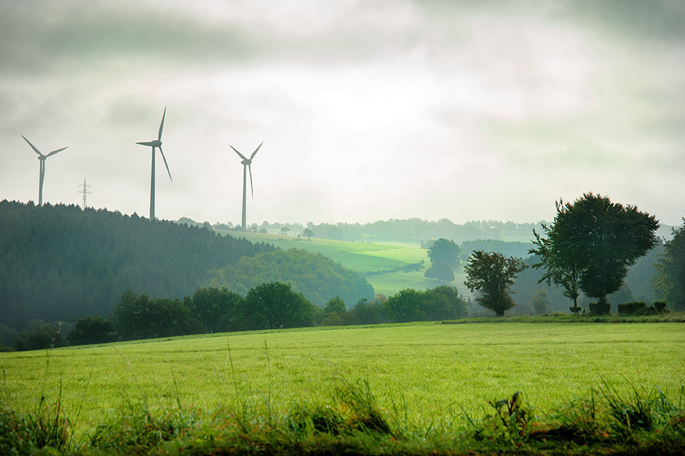 Morgens in der Eifel ....