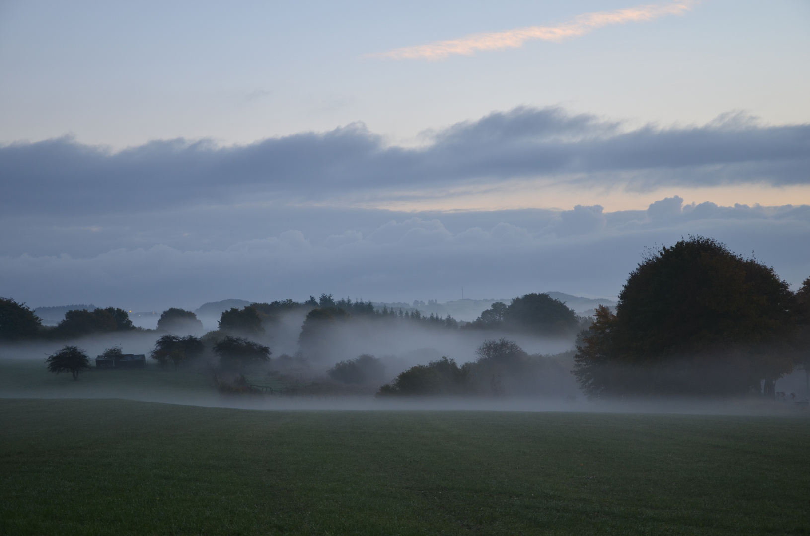 Morgens in der Eifel