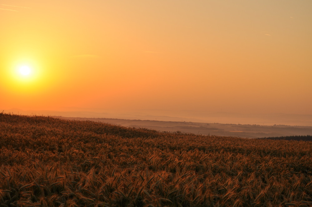 Morgens in der Eifel