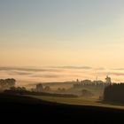 Morgens in der Eifel auf dem Weg zum Ring........