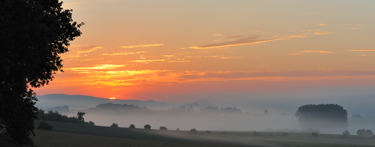 *morgens in der Eifel*