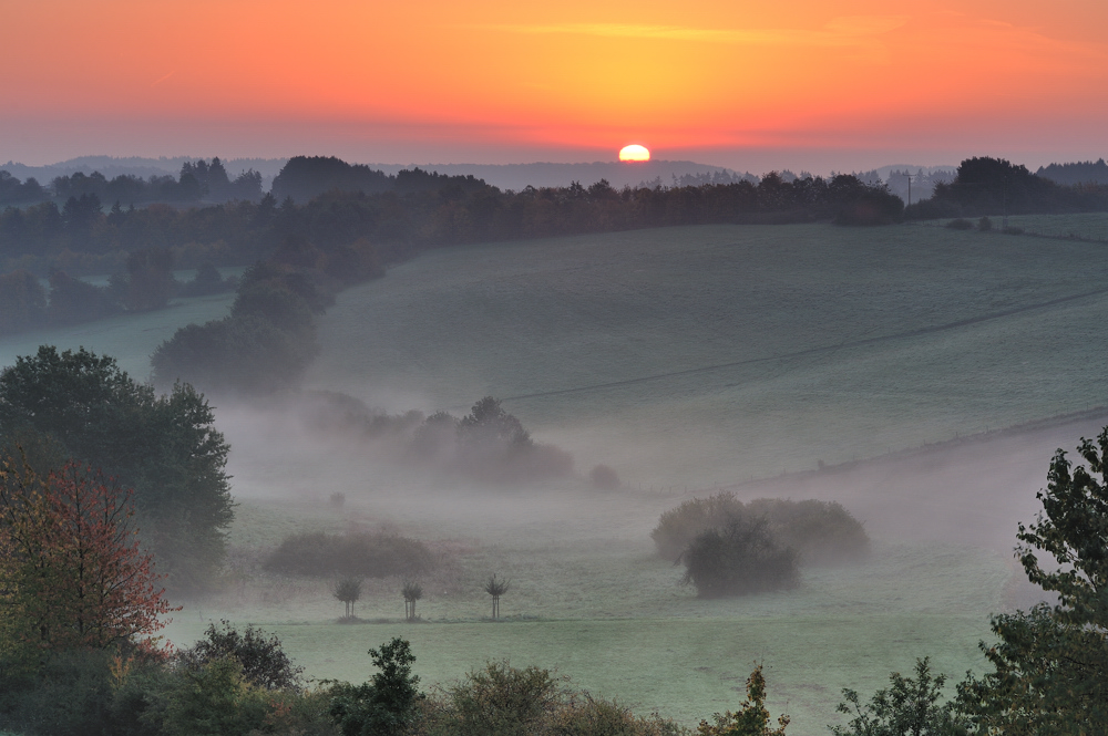 *morgens in der Eifel III*