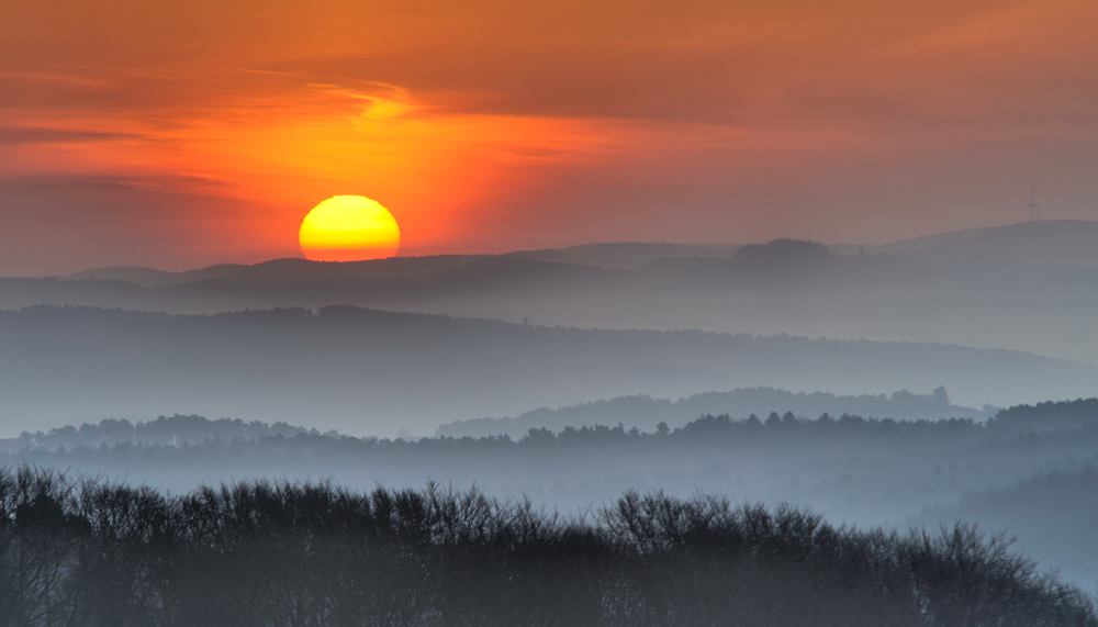 *morgens in der Eifel VI*