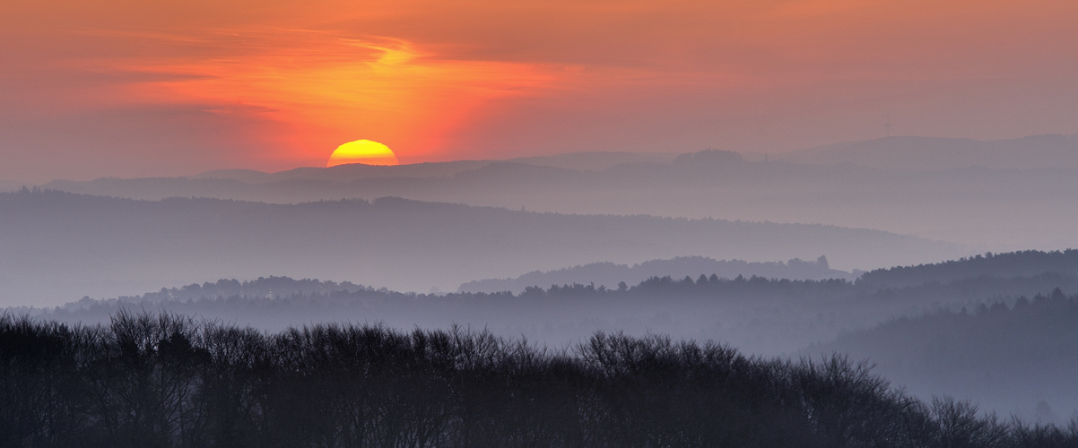 *morgens in der Eifel VII*