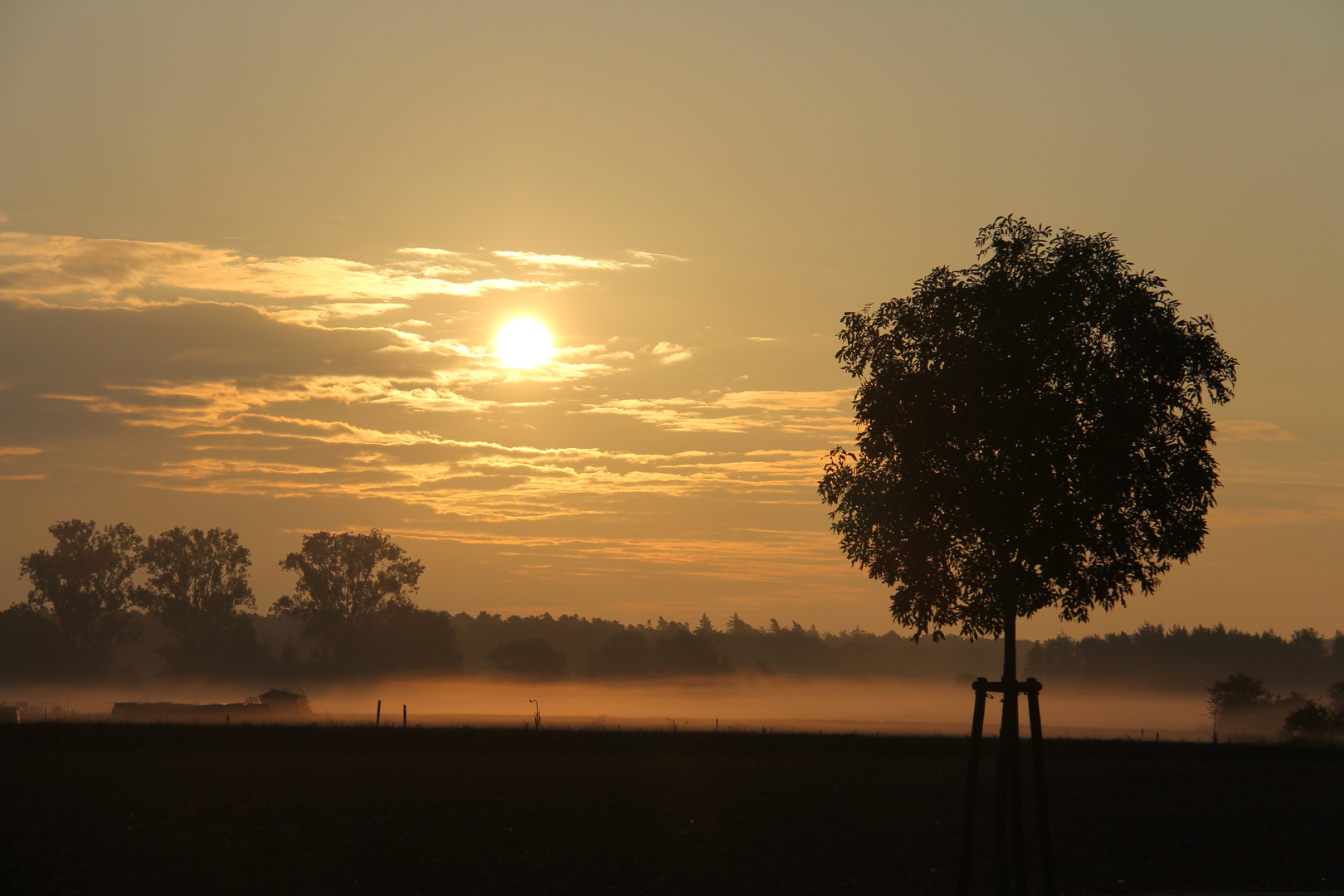 Morgens in der früh - Sommer