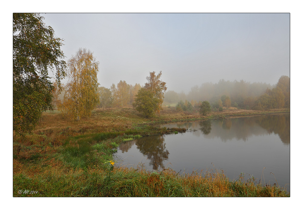 Morgens in der Heide