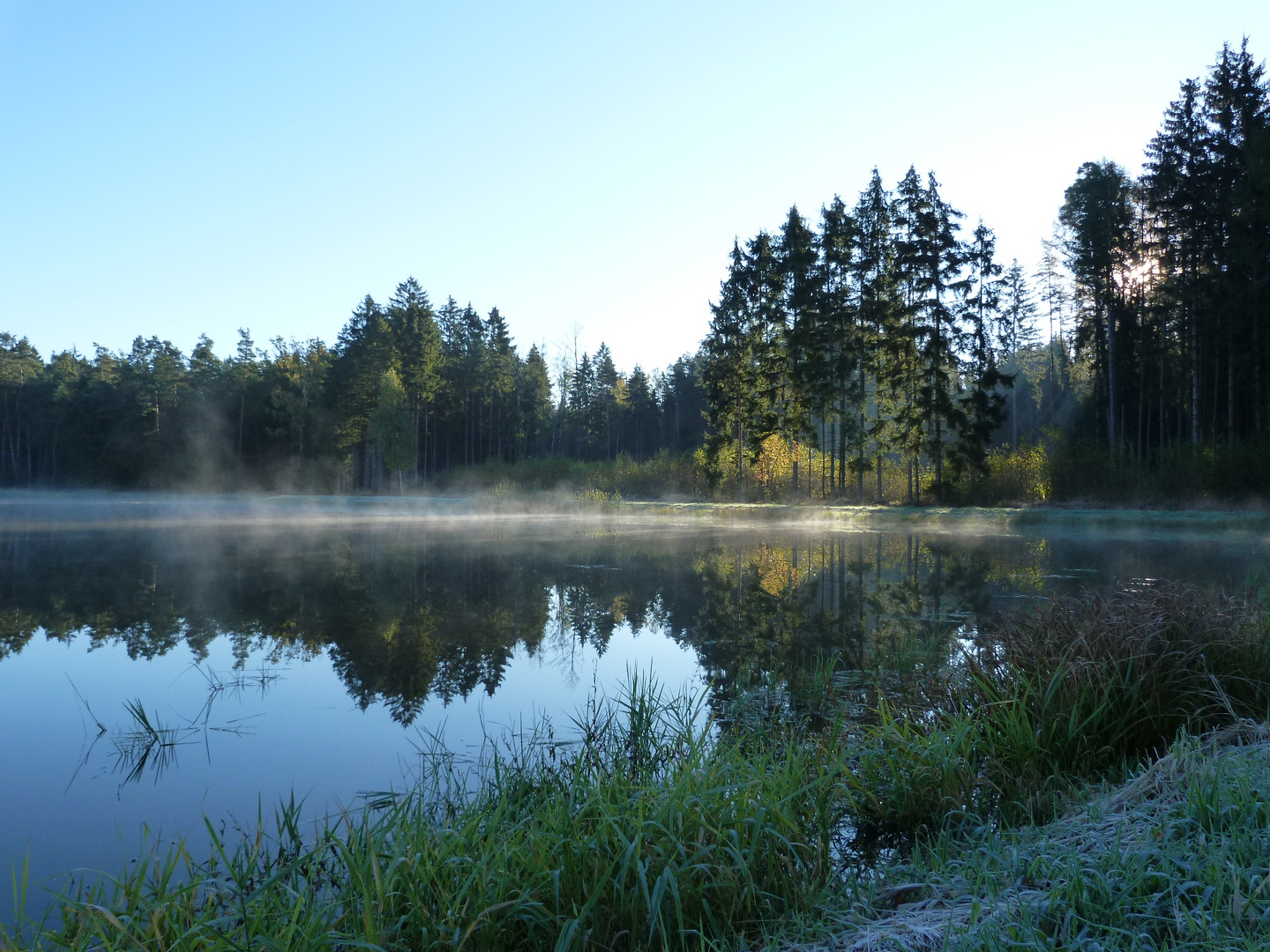 Morgens in der Heusterz bei Tirschenreuth