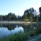 Morgens in der Heusterz bei Tirschenreuth