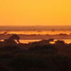 Morgens in der Kalahari