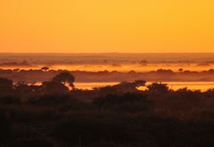 Morgens in der Kalahari