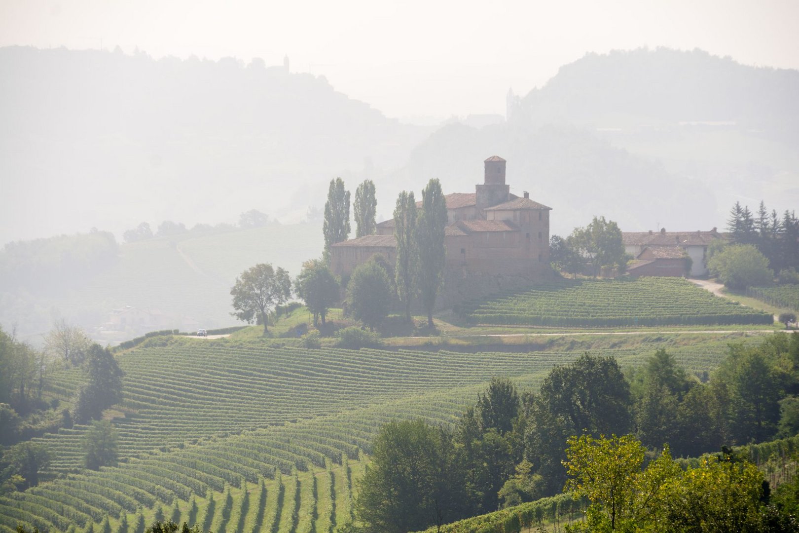 Morgens in der Langhe