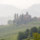 Morgens in der Langhe