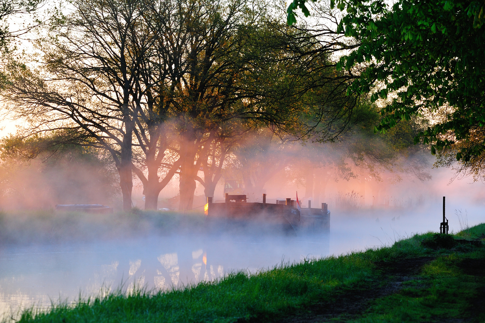 Morgens in der Lewitz