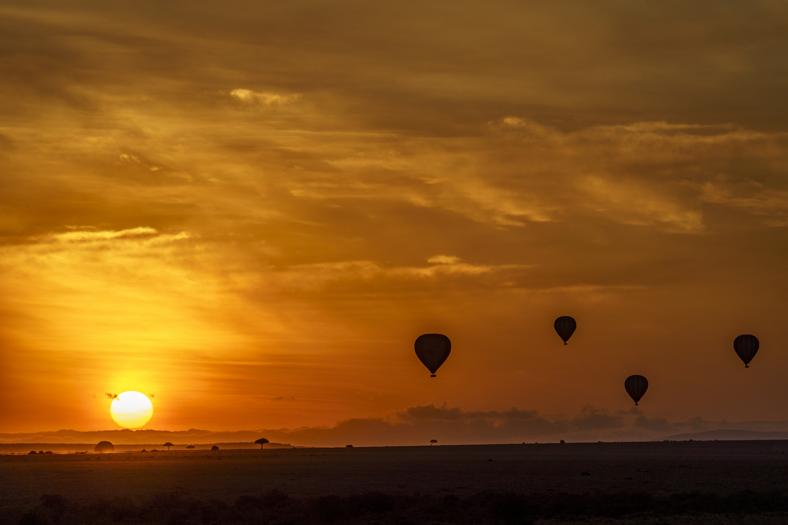 Morgens in der Massai Mara, 2021.08.01