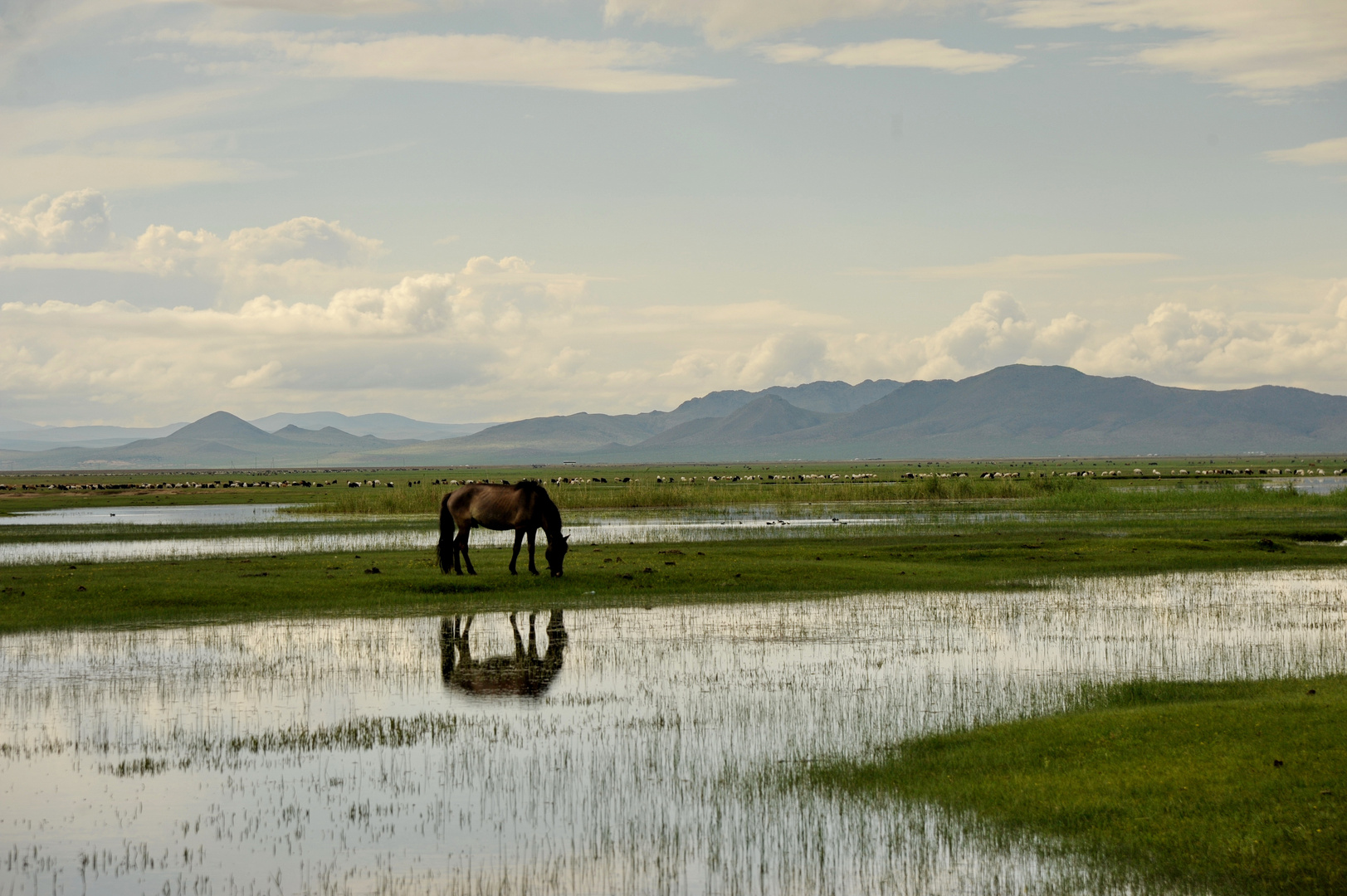 Morgens in der Mongolei