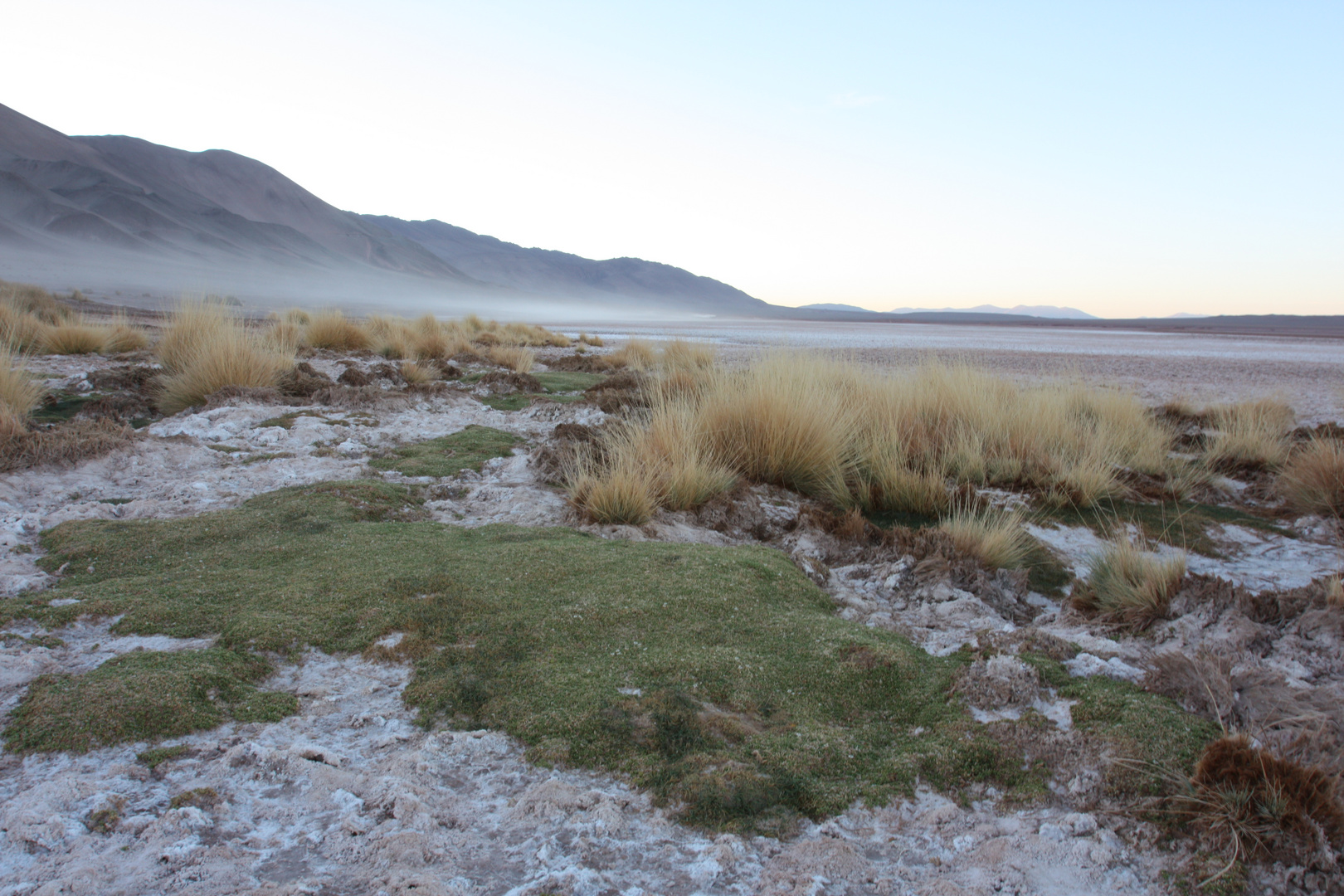 Morgens in der Puna (Andenhochebene in Argentinien)