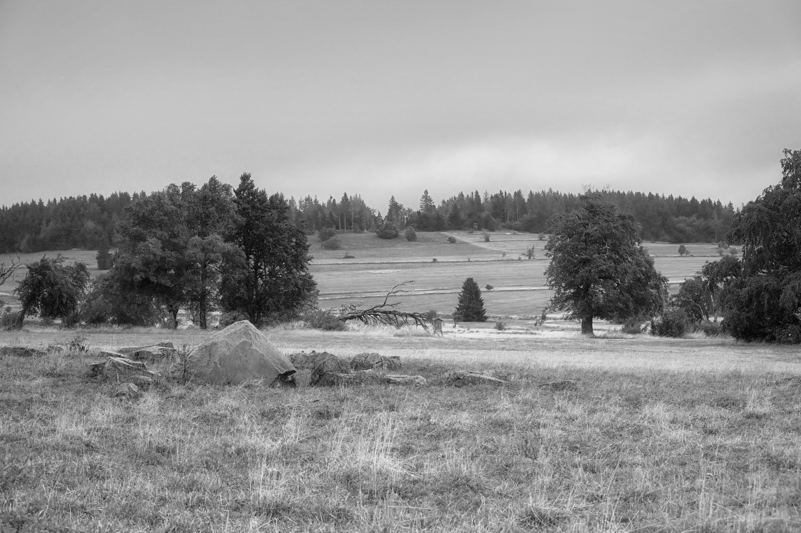 morgens in der Rhön....